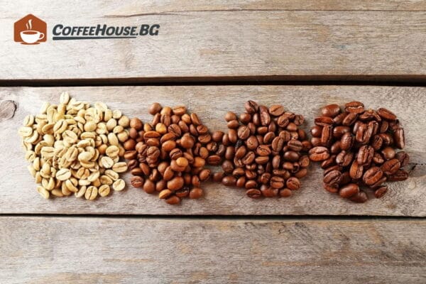 Колко вида кафени зърна има. видове кафени зърна coffee-types