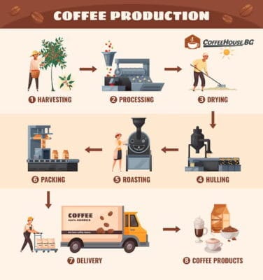 coffee-production